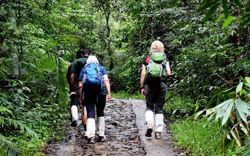 Trekking through Sinharaja rainforest, Sri Lanka