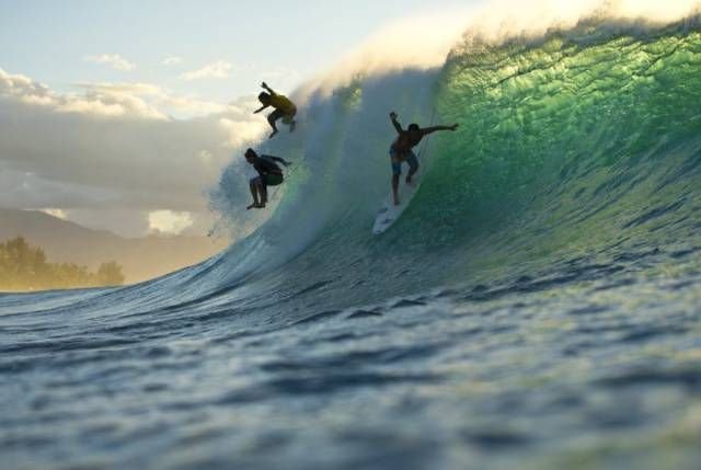 Surfers riding a wave, Sri Lanka