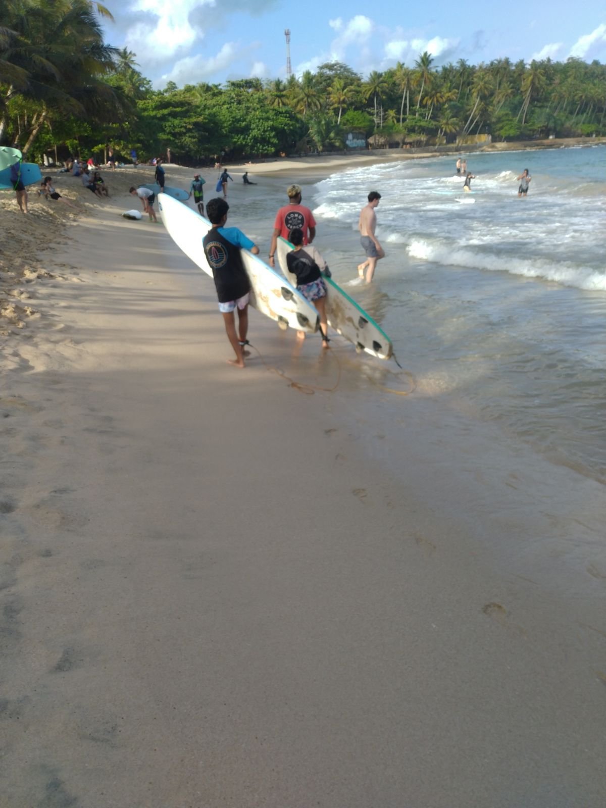 Surfers heading into the waves, Sri Lanka